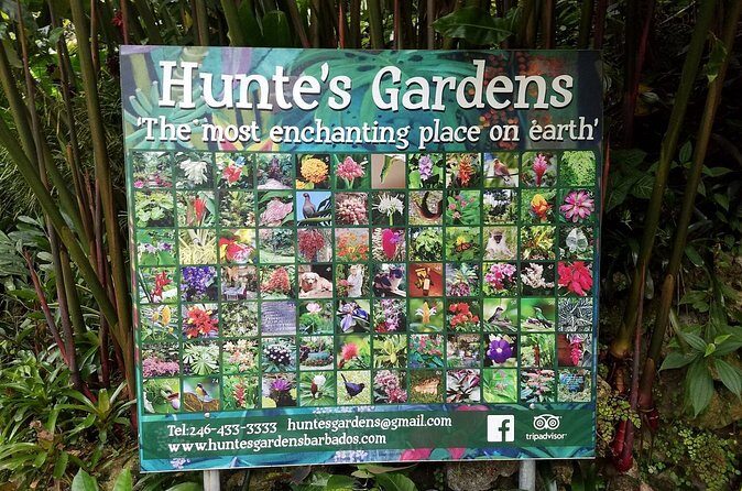 Hunte's Gardens - FAQs about Hunte’s Gardens