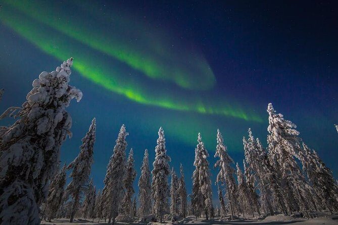 Hunting Northern Lights with Husky - Deep Dive: An Authentic Arctic Experience
