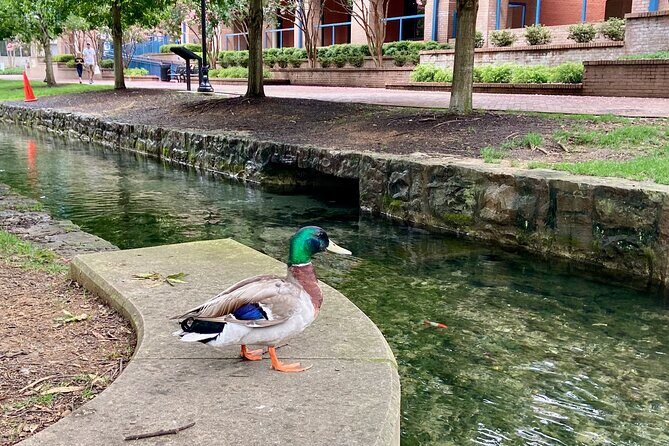 Huntsville Rocket City Smart Phone Self Guided Audio (GPS/APP) Walking Tour - The Sum Up