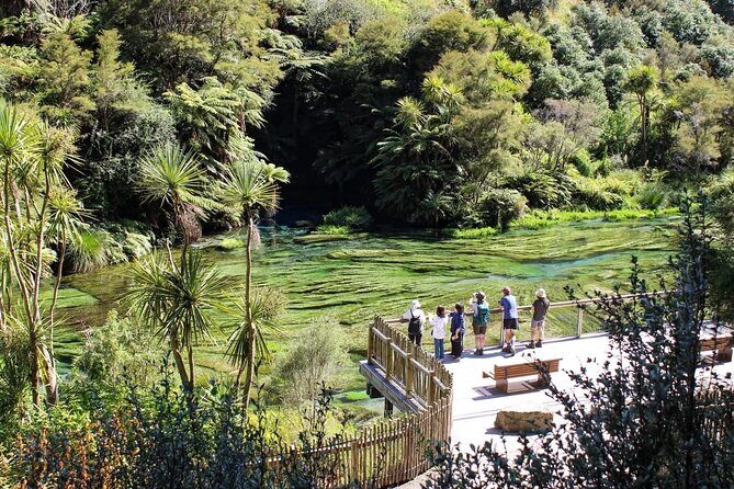 Hunua Falls and Blue Springs (Te Waihou): Private Tour - Why This Tour Offers Great Value