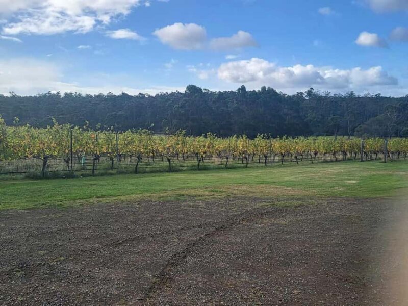 Huon Valley Wine & Cider Tour - Hobart & SE Tasmania - The Value of This Experience