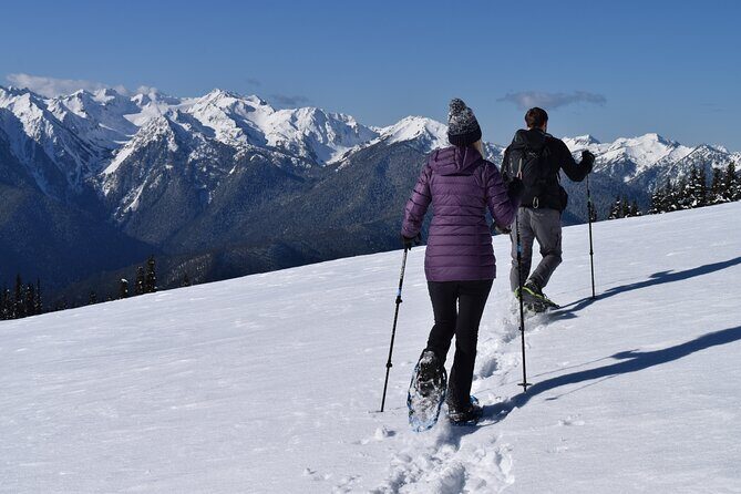 Hurricane Ridge Guided Snowshoe Tour in Olympic National Park - Key Points