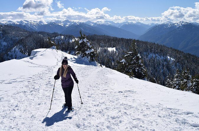 Hurricane Ridge Guided Snowshoe Tour in Olympic National Park - Who Is This Tour Best For?