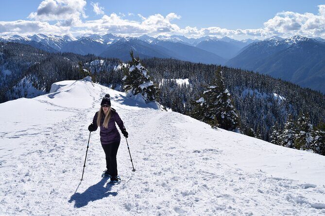 Hurricane Ridge Guided Snowshoe Tour in Olympic National Park - Arrival at Hurricane Ridge