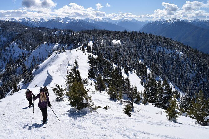 Hurricane Ridge Guided Snowshoe Tour in Olympic National Park - Snowshoeing and Safety Briefing