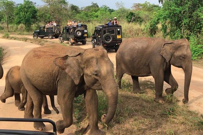 Hurulu Eco Park Private Safari - Final Thoughts