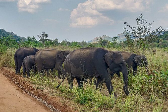Hurulu Eco Park Private Safari - References