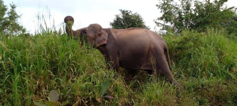 Hurulu Eco Park Safari - Key Points