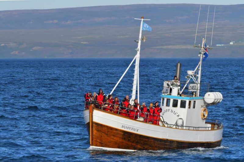 Húsavík: Family-Run and Guided Whale Watching Tour - An In-Depth Look at the Whale-Watching Experience in Húsavík