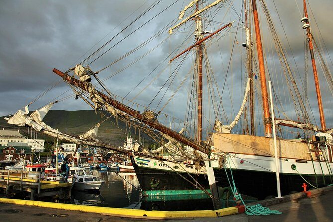 Húsavík walking tour - Who Will Love This Tour?