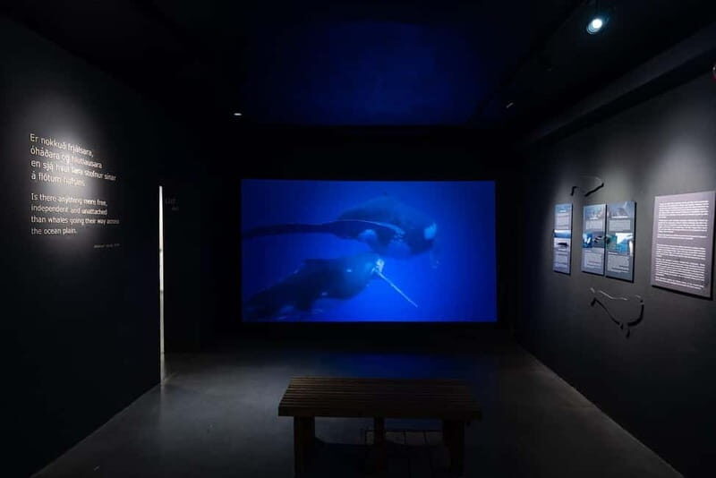 Húsavík: Whale Museum Entry Ticket - Frequently Asked Questions