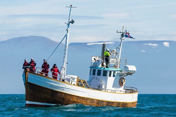 Húsavík Whale Watching Tour, family owned and operated - An Authentic and Memorable Icelandic Adventure