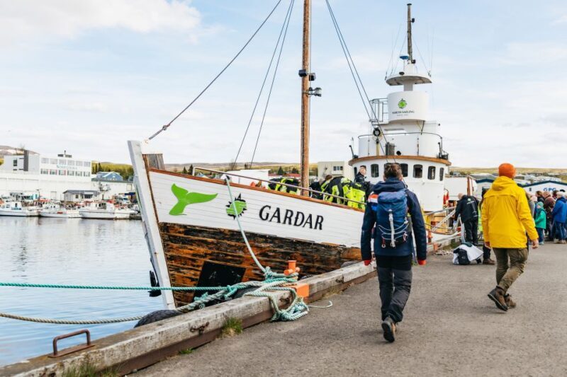 Húsavík: Whale Watching Tour with Guide - FAQ