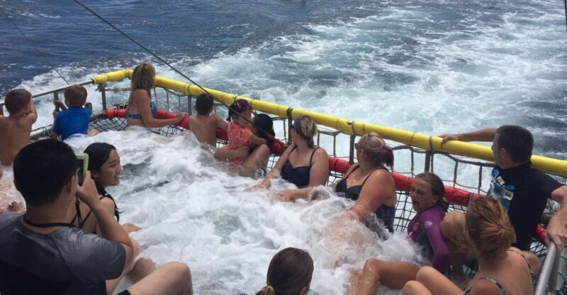 Huskisson: Dolphin Cruise & Boom Netting Experience - Huskisson: Dolphin Cruise & Boom Netting Experience