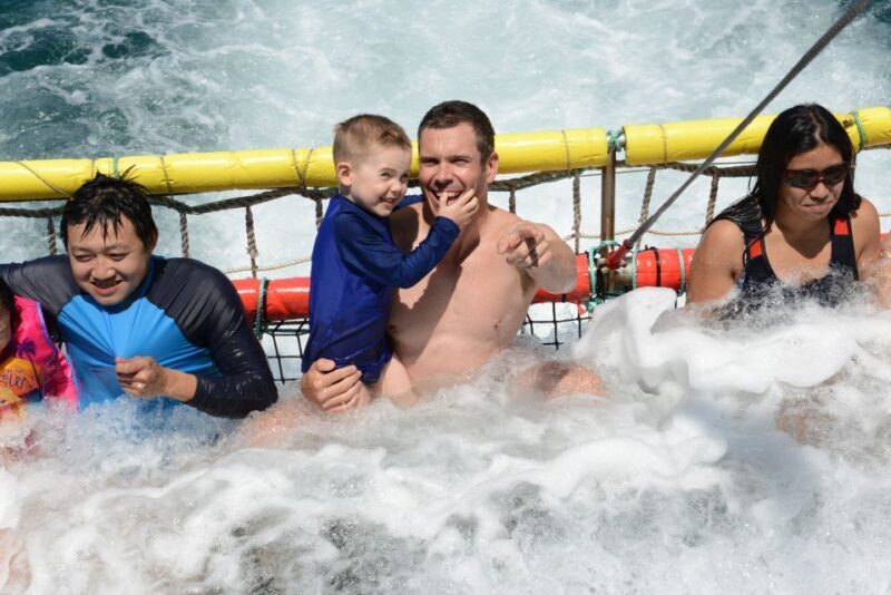 Huskisson: Dolphin Cruise & Boom Netting Experience - The Sum Up