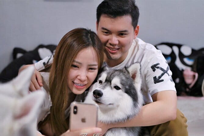 Huskitory Connecting People and Dogs - The Sum Up