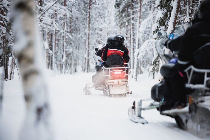 Husky and Reindeer Experience With Snowmobiling - Introduction: A Day in Laplands Snowy Heart