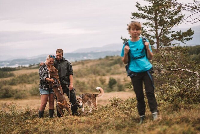 Husky Hike and Puppy Visit with Lunch - Key Points