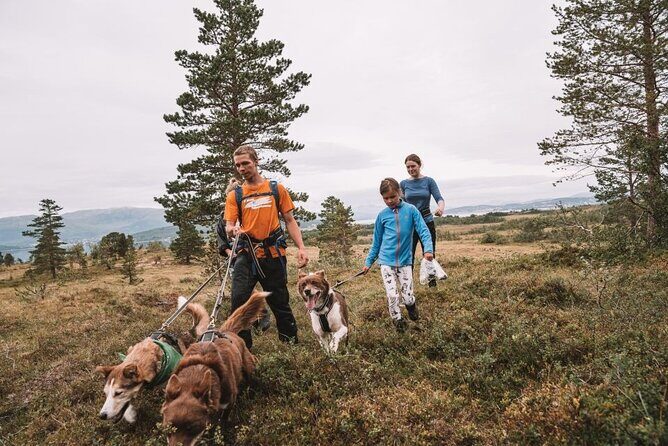 Husky Hike and Puppy Visit with Lunch - Final Thoughts: Why It’s a Great Arctic Escape