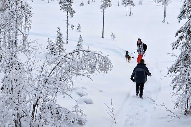 Husky Hike, Snowshoe hike with huskies - Key Points