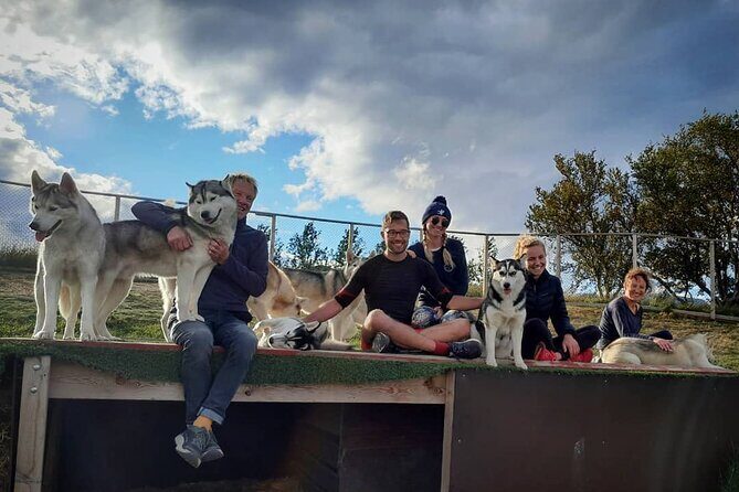 Husky Petting in Akureyri (private) - Key Points