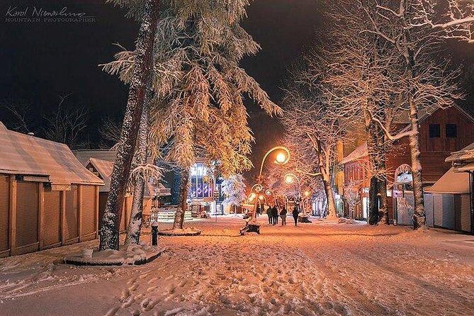 Husky Ride Private Tour from Krakow - Key Points