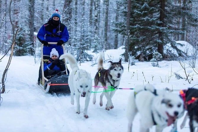 Husky safari - Key Points