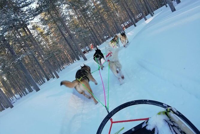 Husky safari - FAQ