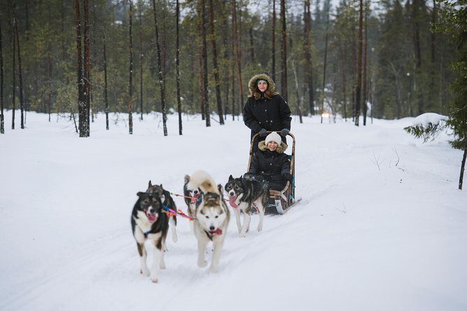 Husky Safari from Rovaniemi Including a Husky Sled Ride - Final Thoughts: Is It Worth It?
