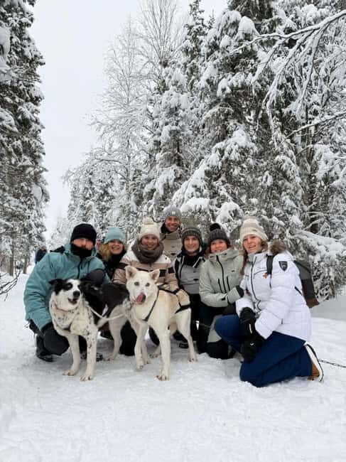 Husky Tour Experience in Levi - Key Points