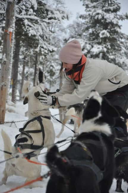 Husky Tour Experience in Levi - What Makes This Tour Stand Out?