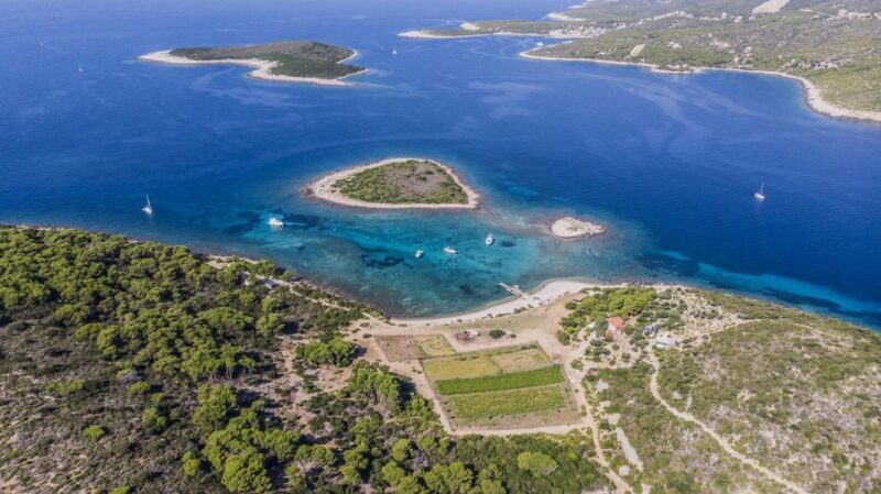 Hvar: Blue and Green Caves Boat Tour with Stiniva Beach - Final Thoughts