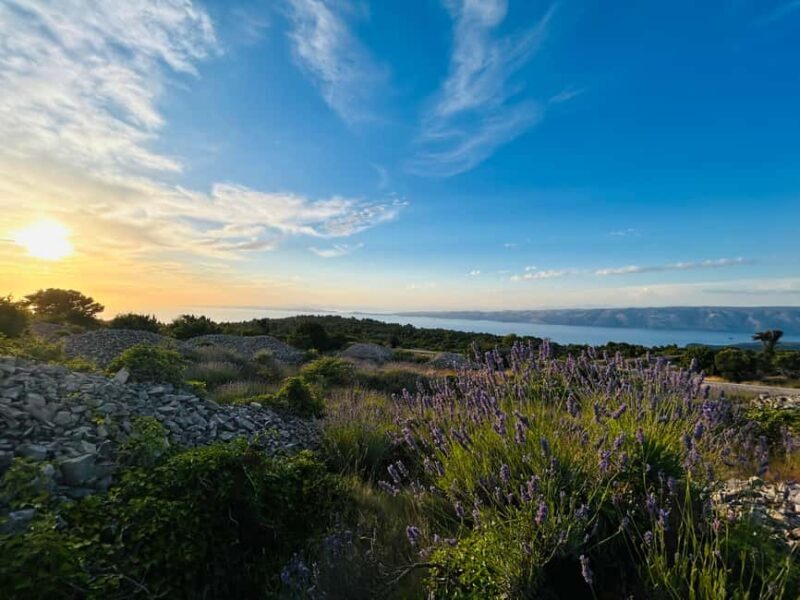 Hvar: Hidden Gems Tour - Key Points