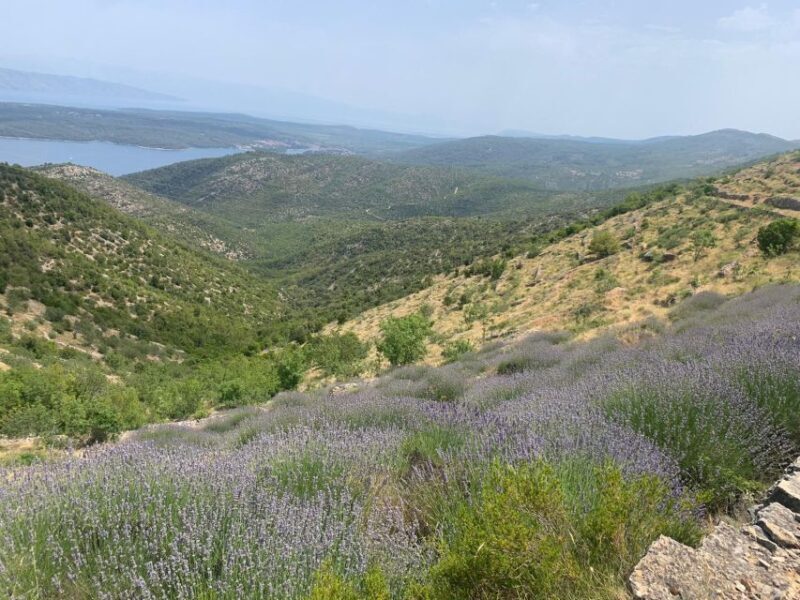 Hvar Hidden Gems Tour with Lunch or Dinner - An In-Depth Look at the Hvar Hidden Gems Tour