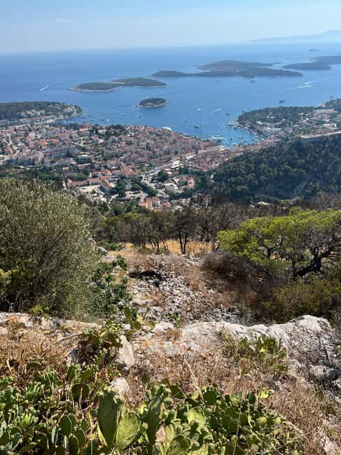 Hvar: Hvar Wine Tasting Experience - Exploring the Hvar Wine Tasting Experience in Detail