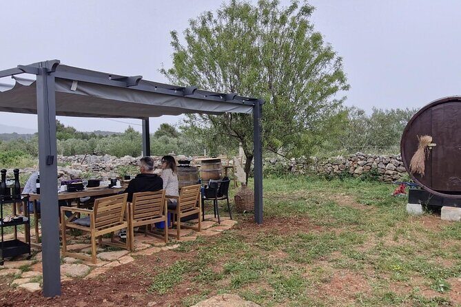 Hvar Island Cooking Class: A Farm-to-Table Experience - An Introduction to the Experience