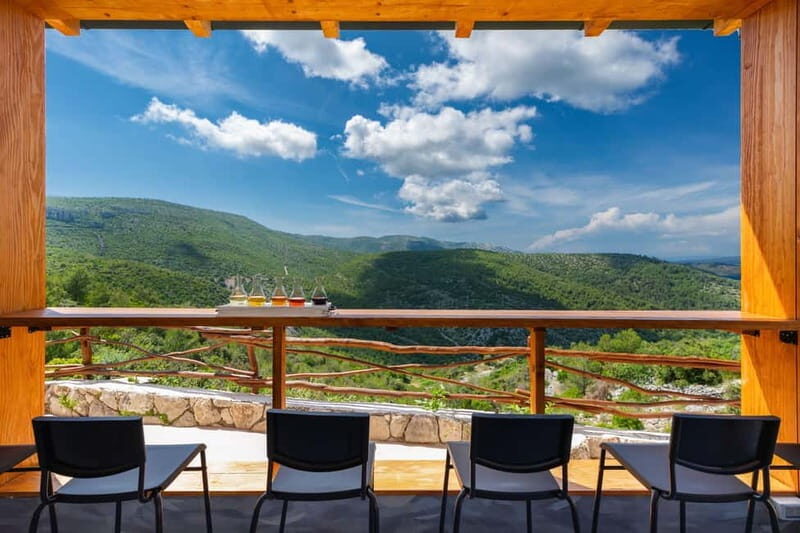 Hvar Island E-Bike Tour with Wine Tasting and Starters - A Deep Dive into the Experience
