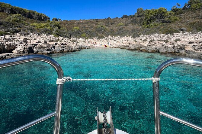 Hvar: Island tour with Wine and Olive Oil Tasting - The Sum Up