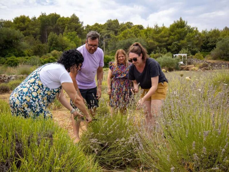 Hvar: Lavender Fields, Honey, and Local Product Tasting - Hvar: Lavender Fields, Honey, and Local Product Tasting — An Authentic Croatian Experience