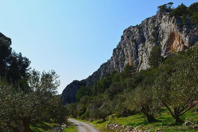 Hvar Lavender Tour - FAQ