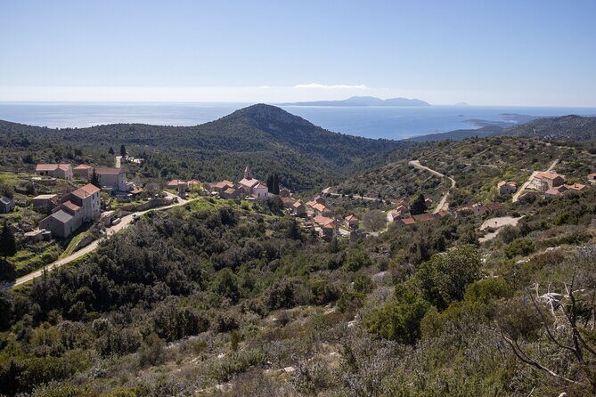 Hvar Shore Excursion - Half Day Tour with Lunch and Local Wine - Key Points