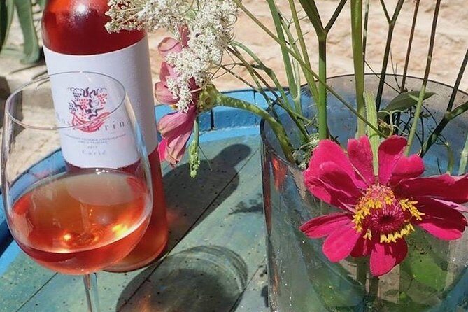 Hvar Small Group Wine Tour and Authentic Dalmatian Dinner - Who Will Love This Tour?