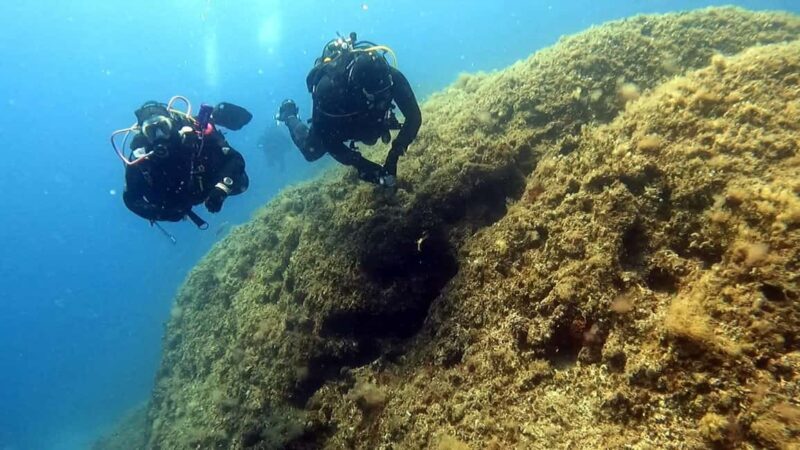 Hvar: Try Dive/Discover Scuba Diving Program - Why This Tour Offers Genuine Value
