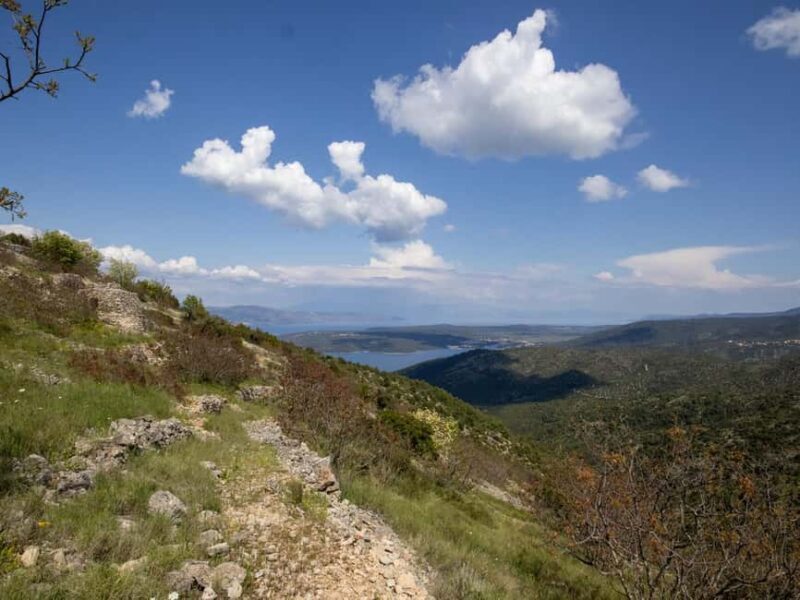 Hvar: Wine Tasting Tour and Island Sightseeing - What’s Included and What’s Not