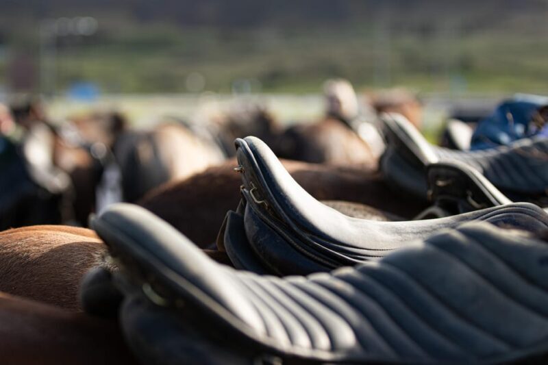Hveragerdi: Countryside Charm Horse Riding Tour - Quick Overview: What You Need to Know