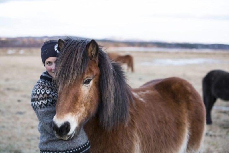 Hveragerdi: Countryside Charm Horse Riding Tour - Final Thoughts