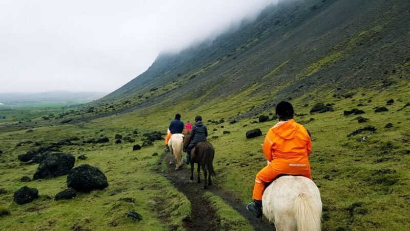 Hveragerdi: Reykjadalur (Hotspring Valley) Horse Riding Tour - In-Depth Experience Review