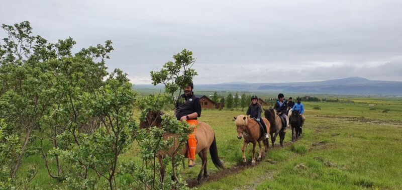 Hveragerdi: Reykjadalur (Hotspring Valley) Horse Riding Tour - Frequently Asked Questions (FAQs)