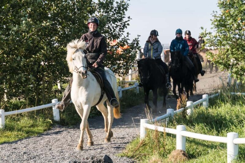 Hveragerdi: The Siggi Horse Riding Tour - Who Will Love This Tour?