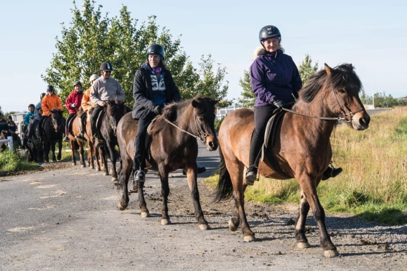 Hveragerdi: The Siggi Horse Riding Tour - FAQ